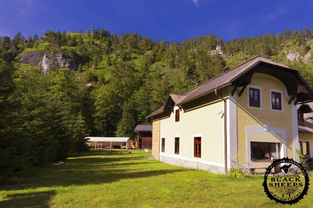 Penzion Black Sheeps Adventures Wildalpen Esterno foto