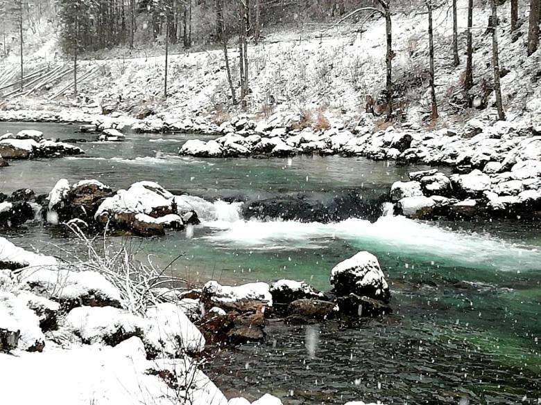 Penzion Black Sheeps Adventures Wildalpen Esterno foto