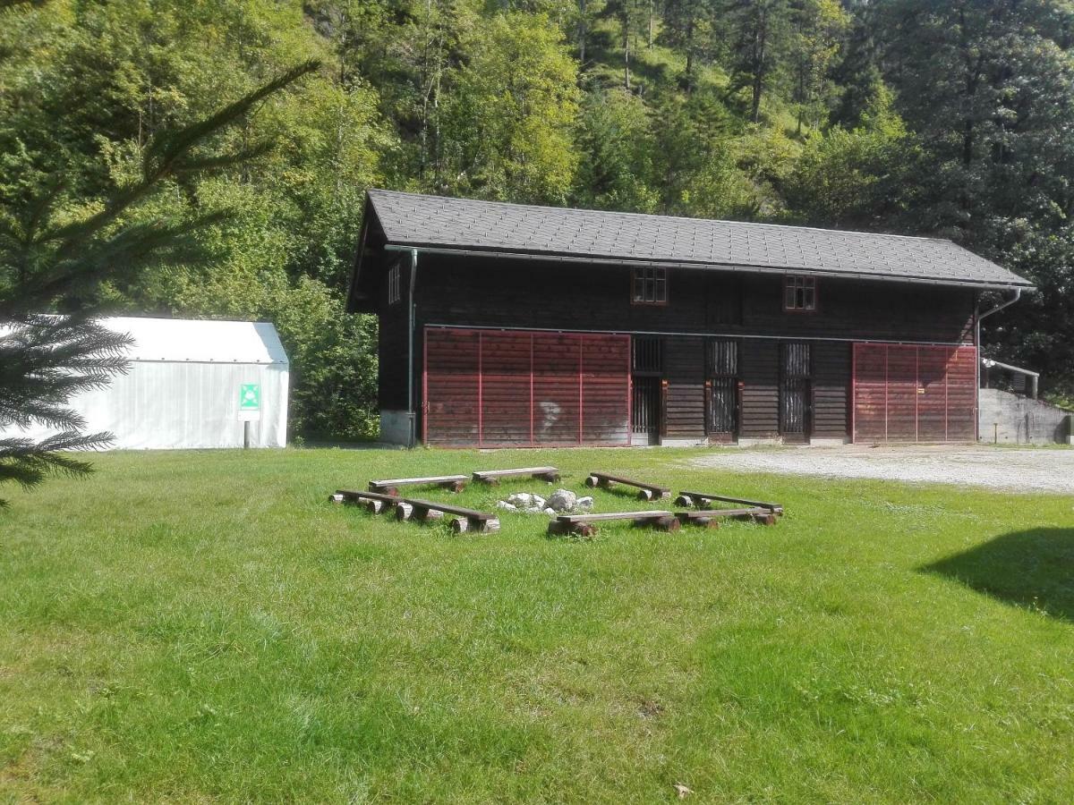 Penzion Black Sheeps Adventures Wildalpen Esterno foto